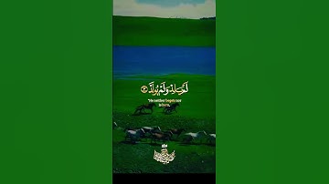 القارئ عبد الباسط عبد الصمد سورة الإخلاص