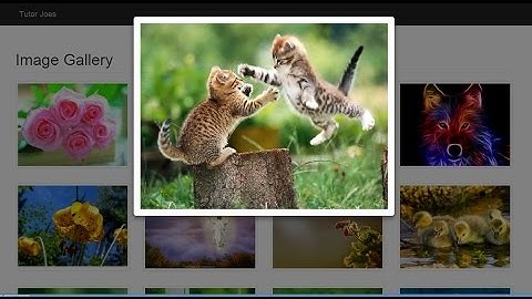 Google Like Image Gallery using Bootstrap Modal and Jquery Part-2