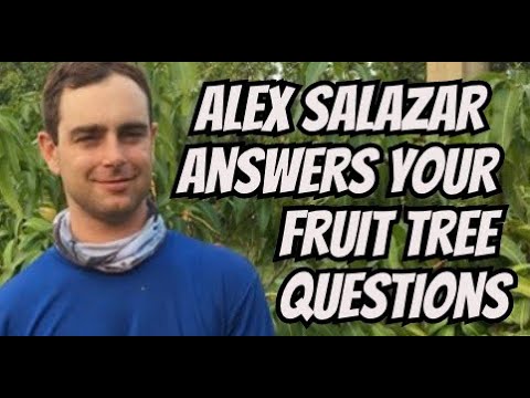 Live Q&A with Alex from Tropical Acres Farms in West Palm Beach, Fl, Saturday, Aug. 20th 8pm est.