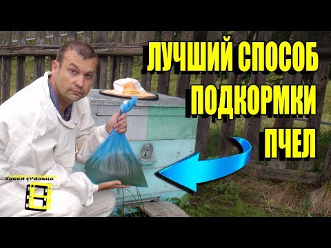 СУПЕР СПОСОБ ПОДКОРМКИ ПЧЕЛ САХАРНЫМ СИРОПОМ НА ЗИМУ. ЛЮБИТЕЛЬСКОЕ ПЧЕЛОВОДСТВО