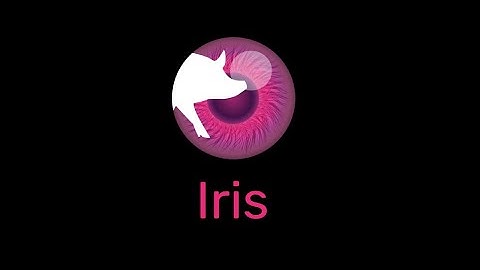 Iris Demo (English)