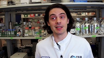 Metabolon - What role can metabolomics play in the evolution of microbiome research?