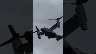 V22 Osprey