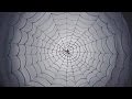 Acrylic painting  spider web painting