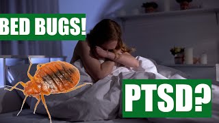 BED BUGS and How To Deal With The Stress They Cause