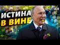 На РашаТВ показали придворный виноградник Путина. Правда всплыла! Сенсационное расследование