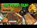 Retour sur miel cristallisé, ruche agressive et ruche orpheline #apiculture 2021