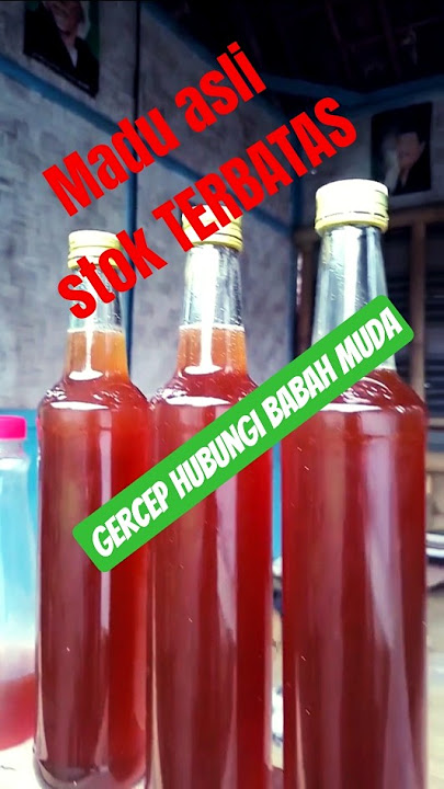 MADU ASLI WA ADA DI DESKRIPSI #shortsvideo #madu #maduviral