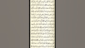 تلاوة سورة النساء من الآية 148 إلى الآية 154