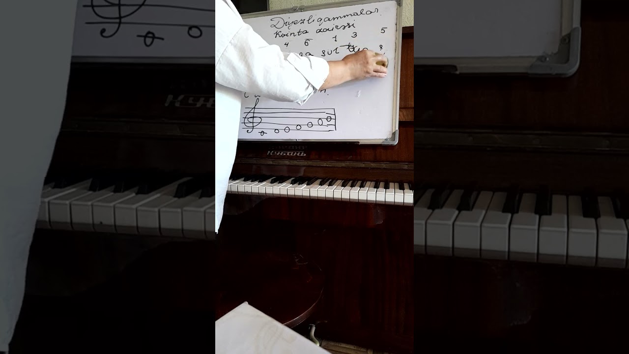 Diyezli qammaların ,,Kvinta dairəsində