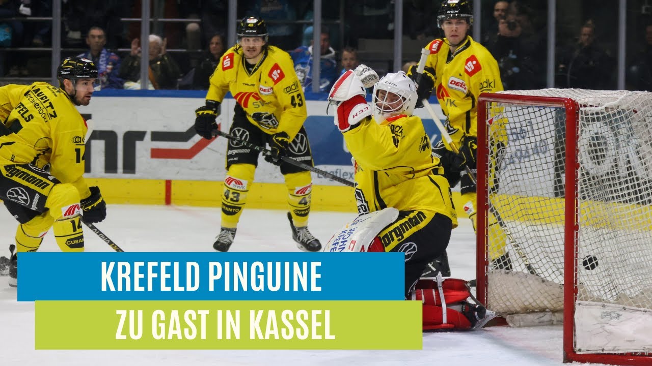 Krefeld Pinguine zu Gast in Kassel | WZ Sport