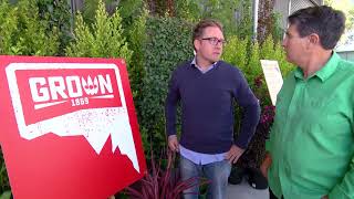 Sagrown Meets Outdoors Indoors At Heynes Wholesale Nursery