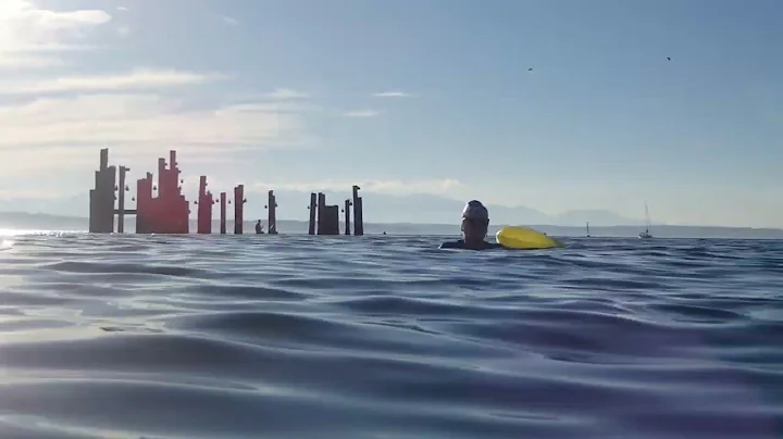 Summer Swimming In the Salish Sea