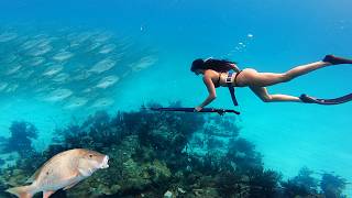 Day 3 I Give Her The Speargun And THIS HAPPENS! 10 Ft Hammerhead SHARK Comes In!