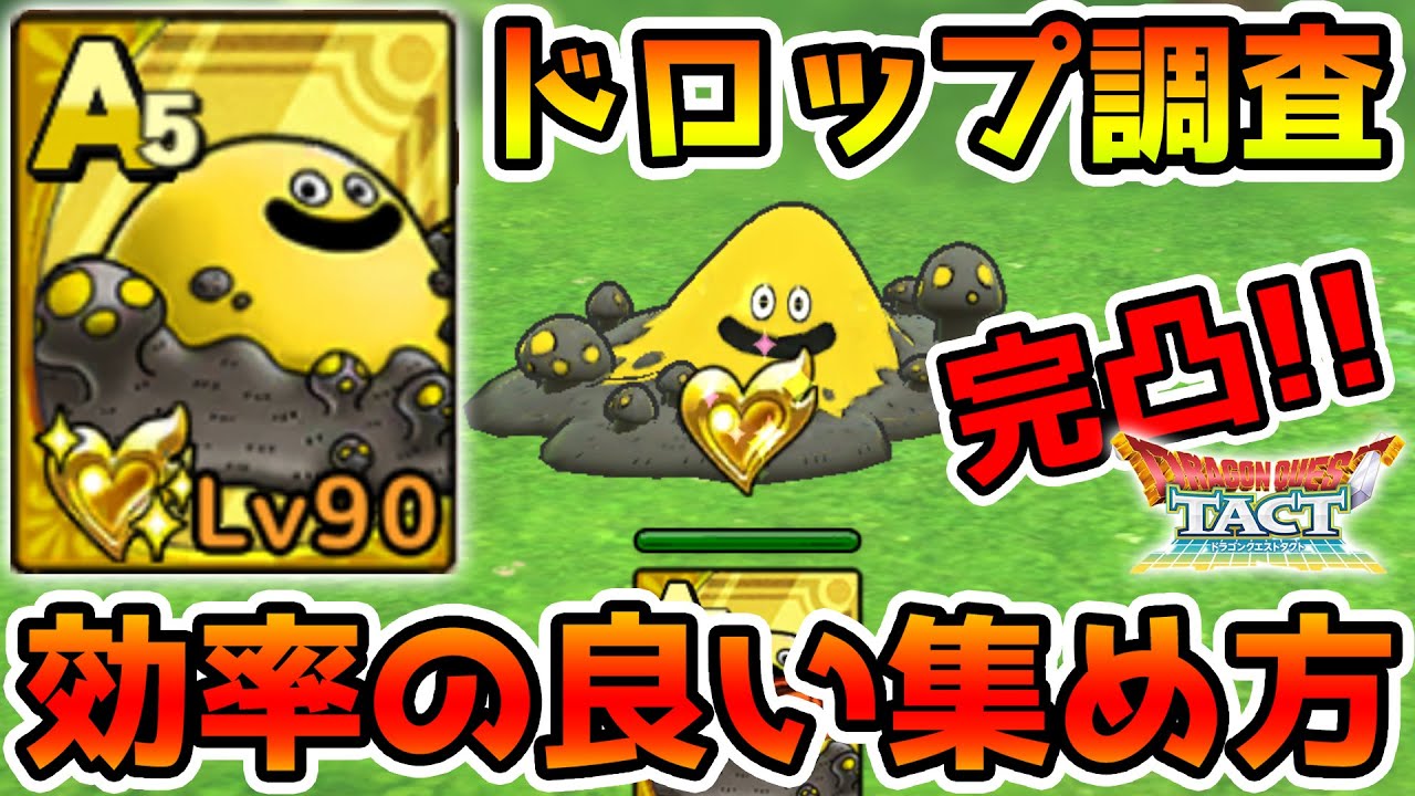 ドラクエタクト ぬかどこスライム完凸スペックと効率の良い周回方法 43 Dqt Youtube ドラクエタクト ぬかどこスライム完凸スペックと効率の良い周回方法 43 Dqt Youtube