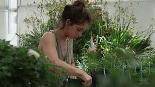 Exploring Sustainable Agriculture
