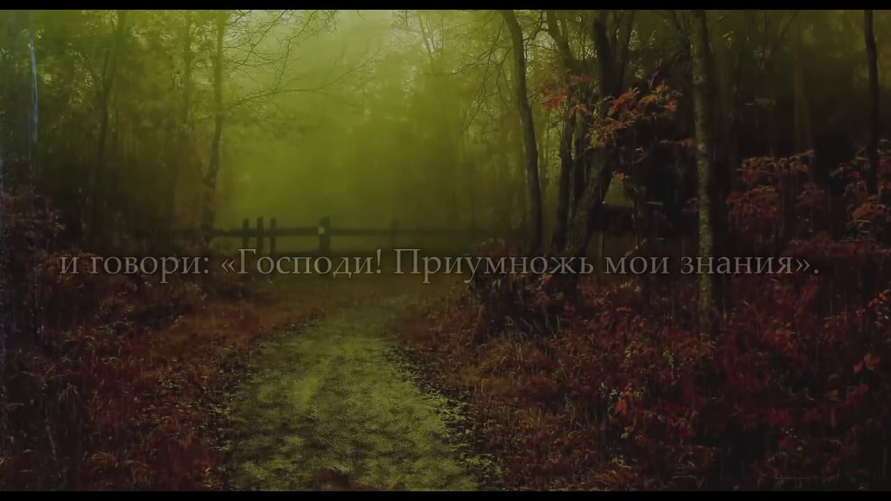 Идрис Абкар. [Очень красивое чтение аятов из разных сур Корана.]