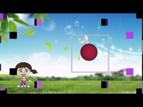 المجسمات الهندسيه 