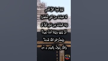 سوره ال عمران الايه ٣٠