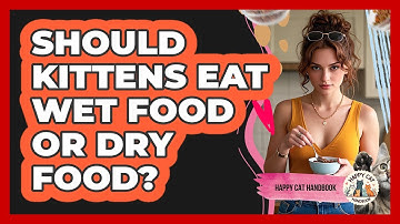 Should Kittens Eat Wet Food Or Dry Food? - Happy Cat Handbook