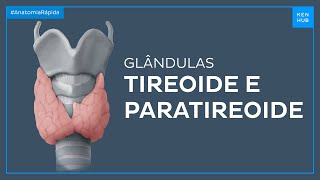 Glândulas tireoide e paratireoide - Anatomia Fácil | Kenhub Glândulas tireoide e paratireoide - Anatomia Fácil | Kenhub