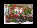 [Garden Ideas] Balcony plant pots ideas