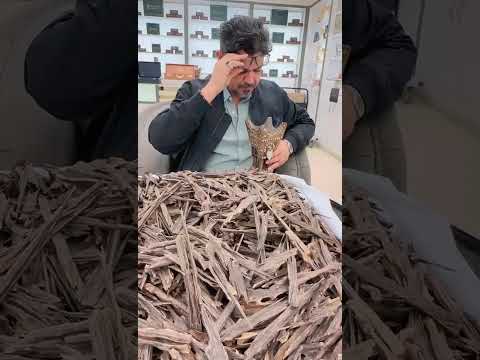 سيرة الطيب للعود والعطور عود هندي طبيعي