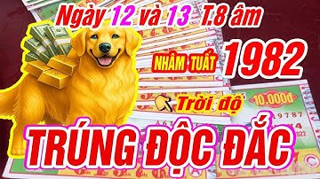 TRỜI ĐỊNH Tuổi NHÂM TUẤT 1982 gặp vận phát tài TRÚNG ĐỘC ĐẮC CỰC GIÀU đúng ngày 12 và 13 tháng 8 âm