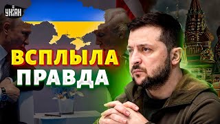 Вот о чем Путин УМОЛЯЛ Трампа! Всплыла ПРАВДА: Зеленский сказал все, что думает о УСЛОВИЯХ Кремля
