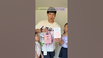 Labubu or Mystery Bag? (Part 11)