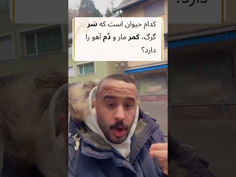 مطمنم همه میشناسش Shortvideo Shorts 