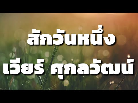 สักวันหนึ่ง - เวียร์ ศุกลวัฒน์ | พลิกดินสู่ดาว