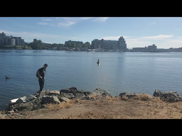 Watching Harbour Planes - Victoria BC