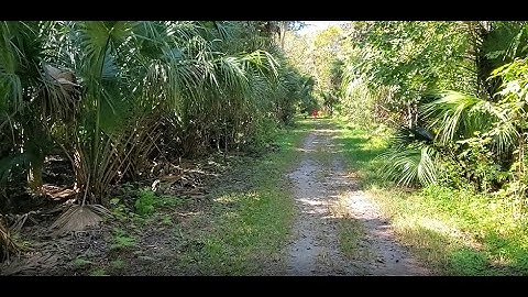 Spring Hammock Preserve