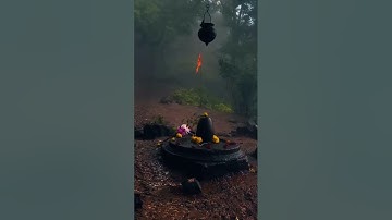 मैं दास उसी का हूं मेरा मालिक है शिवाय ! Mahadev !  Status Bholenath Status #shortfeed #shivstatus