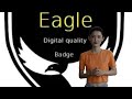 Digital quality eagle world