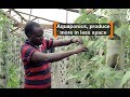 Kenya: Aquaponics, produce more in less space