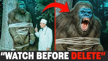 Scientists SHOCK: REAL Camera Captures Finally Solve Bigfoot Mystery, Caught on Camera