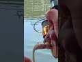 Cuss mancing!