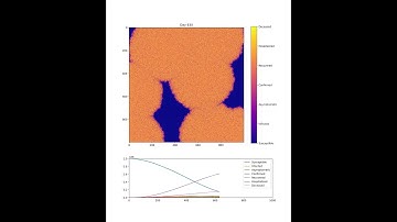 Epidemic simulation using cellular automata