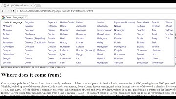 How to add multi-language option in website using google translator