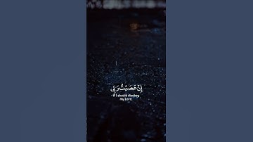 القارئ : محمد طه الجنيدسـورة : الزمر ، الآية ١٣
