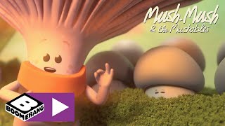 Mush-Mush Og Mushketererne  Per På Mushlets Boomerang Danmark