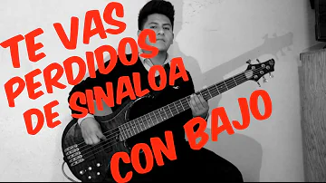 Perdidos de Sinaloa - Te Vas (Bass Cover)