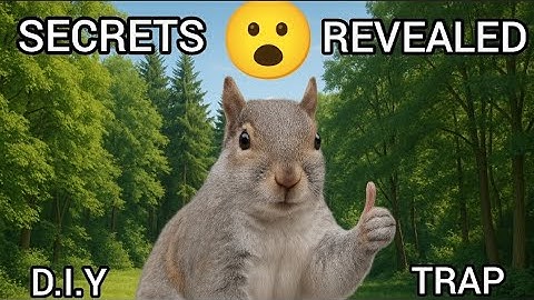 The Best Homemade Non-Lethal Squirrel Trap: Easy to Set Up!