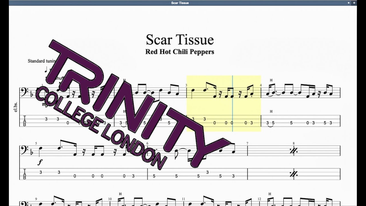 Scar Tissue Trinity Grade 6 Bass