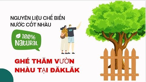 CÔNG DỤNG TRÁI NHÀU_CÔNG DỤNG NƯỚC CỐT NHÀU_BÁN NƯỚC CỐT TRÁI NHÀU TOÀN QUỐC UY TÍN_ZALO 0973765730