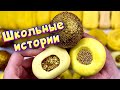 Истории про школу 🤩 с  мылом и слаймами - хрустяшками 😊 от моих подписчиков 💛