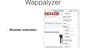 CNIT 129S - Ch 5: Bypassing Client-Side Controls
