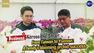 From Taiwan to Yunnan: A familys blooming orchid success